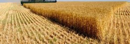 شعارهای برخی نامزدهای انتخابات ریاست جمهوری برنامه های در حال اجرای دولت یازدهم است