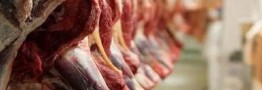 واردات گوشت گرم گوساله با نرخ مصوب 598 هزار تومان از پاکستان وبرزیل