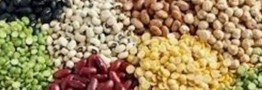 چرا تورم حبوبات از ۶۰ درصد عبور کرد؟/ ارز ترجیحی برای پالم و شکلات، ارز توافقی برای حبوبات