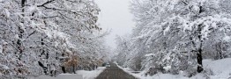 توقف بارش برف در ۷ محور گیلان؛ تردد جریان دارد