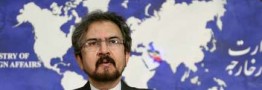 قاسمی: موضوع قتل جوان ایرانی در آمریکا در حال بررسی و پیگیری جدی است