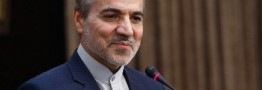 سخنگوی دولت:پاسخگویی به همه مسائل از نقاط قوت قانون اساسی است
