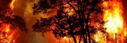 قصه آتش سوزی جنگل های ایران